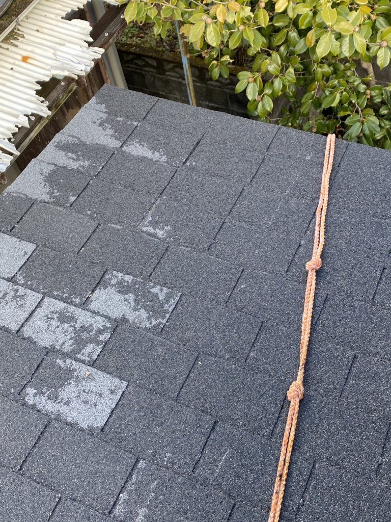 画像に alt 属性が指定されていません。ファイル名: IMG_45881-768x1024.jpg